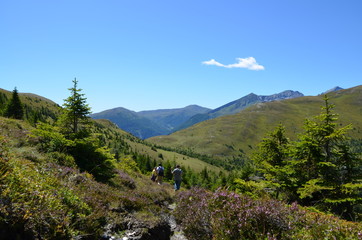 Naklejka premium Bergwelten