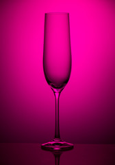 Champagne glass on pink