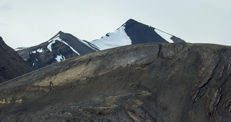 Arctic landscape in Svalbard during summer. Norway
