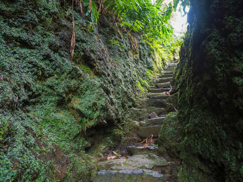 Narrow stone steps between moss covered stone in rain forest on footpath hiking trail near furnas, Sao Miguel island, Azores, Portugal