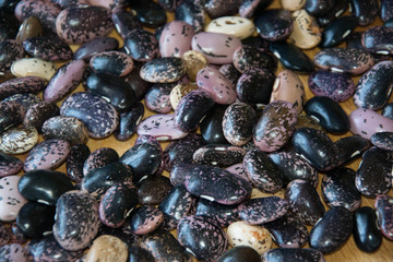 Close-up of colorful haricot beans, beans on wooden table