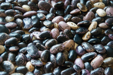 Close-up of colorful haricot beans, beans on wooden table