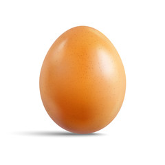 Fresh raw chicken brown egg isolated on white background. Realistic vector 3d illustration.