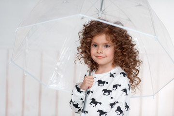 Portrait of a pretty curly brown-haired girl with a transparent umbrella on a white background in a dress with horses . fashion