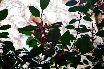 Viaje a la ciudad de Olite Espa&ntilde;a