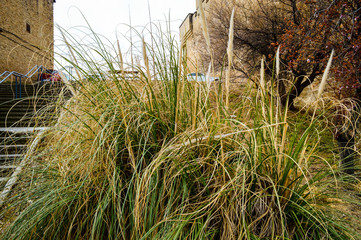 Viaje a la ciudad de Olite España