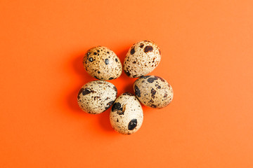 Quail eggs on color background, space for text