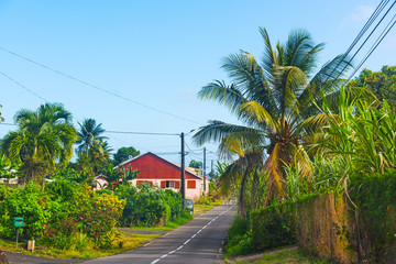 Narrow street surrounded by tropical vegetation in Guadeloupe island