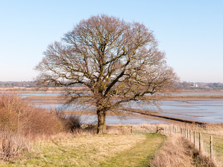 Fingringhoe wick nature reserve outside landscape background space open country countryside