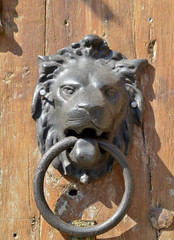 lion head door knocker