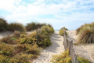 Natural and wild beach with a beautiful and vast area of dunes, Camargue region in the South of Montpellier, France