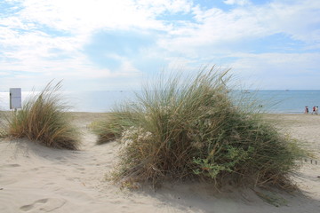 Natural and wild beach with a beautiful and vast area of dunes, Camargue region in the South of Montpellier, France