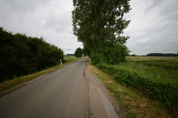 Fototapeta premium Natur