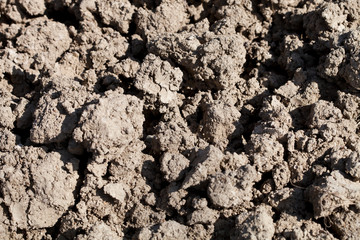 Dirt background texture
