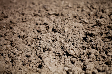 Dry soil background