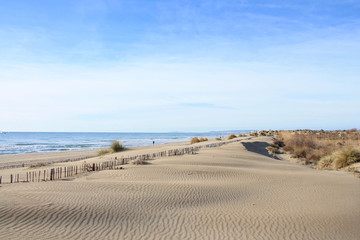 Natural and wild beach with a beautiful and vast area of dunes, Camargue region in the South of Montpellier, France