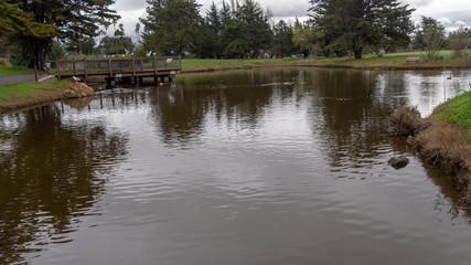 Duck Pond