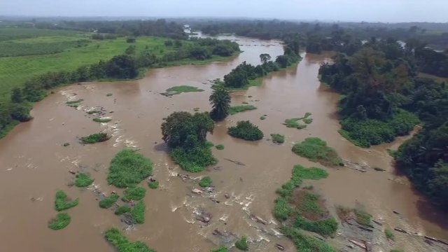 IVORY COAST, AFRICA- Panorama Of Nature, Rain Forest.