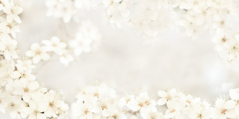 Stylized delicate cream-colored background with small flowers