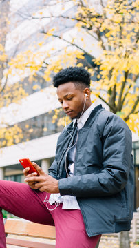 Man sitting on a bench checking his phone