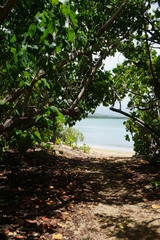 Fototapeta premium Versteckter Pfad zum Meer