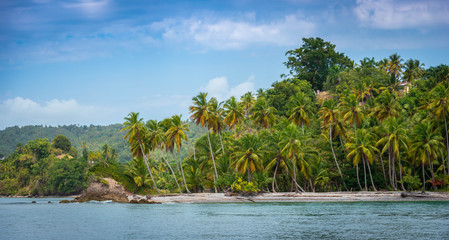 Karibikinsel mit Kokospalmen