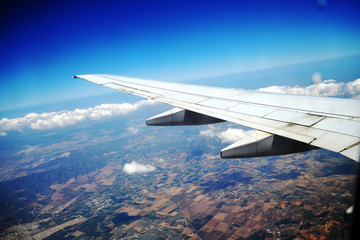 Fototapeta premium Fliegen