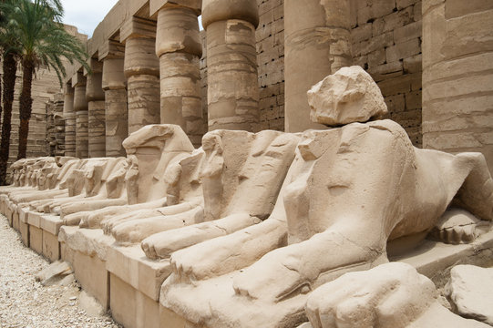 ancient egypt statues of sphinx in Luxor karnak temple