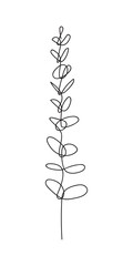 Eucalyptus baby blue branch continuous line drawing. One line . Hand-drawn minimalist illustration, vector.