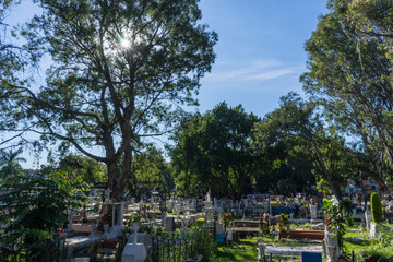 Fototapeta na wymiar Cementerio 