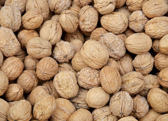 walnuts on white background
