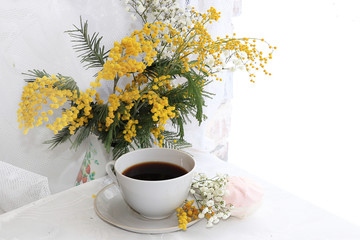 A cup of coffee and spring flowers mimosa on a light background, wishes of good morning and happy women's day