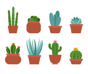 Set van schattige kleurrijke cactus, vetplanten, aloë in verschillende bloempotten. Cactussen in eenvoudige platte stijl. Exotische planten collectie geïsoleerd op een witte achtergrond. Cactussen met bloemen. vector illustratie