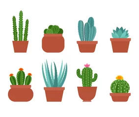 Fototapete Kaktus im Topf Set aus süßen bunten Kakteen, Sukkulenten, Aloe in verschiedenen Blumentöpfen. Kakteen im einfachen flachen Stil. Exotische Pflanzensammlung isoliert auf weißem Hintergrund. Kaktus mit Blumen. Vektor-Illustration