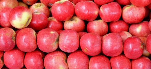 pile of red apples
