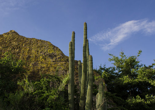 paisaje mexicano a luz del dia © Mauricio