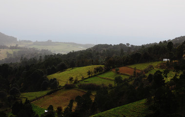 Naklejka premium vista panoramica de un campo con neblina en veracruz , México .