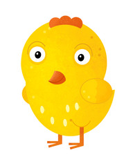 cartoon scene with chicken on white background - illustration for children