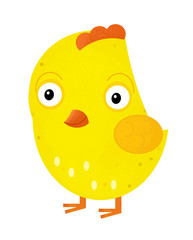 cartoon scene with chicken on white background - illustration for children