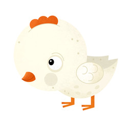 cartoon scene with chicken on white background - illustration for children