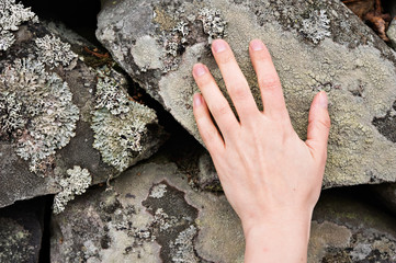 Close-up of human hand touching lichen covered stone.