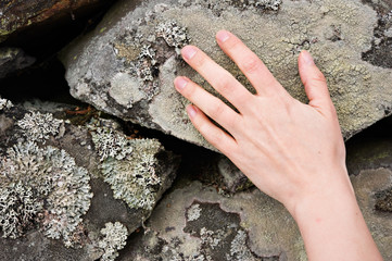 Close-up of human hand touching lichen covered stone.
