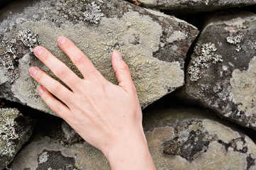 Close-up of human hand touching lichen covered stone.