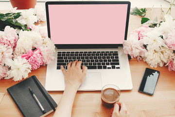 Hands working on stylish laptop with empty screen, coffee cup, notebook,phone,  pink and white peonies on wooden table with space for text. Freelance concept. International womens day. Freelancer.
