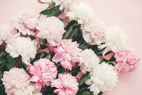 Stylish pink and white peonies bouquet on pink paper flat lay. Creative floral image. Happy mother's day. International womens day. Greeting card mockup.