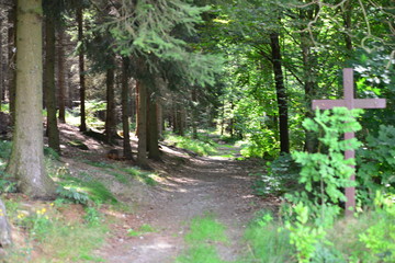 Obraz premium ehemalige DDR