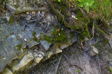 rocks and stones of the sea coast