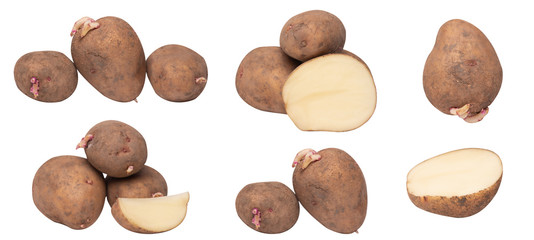 set photo with raw potatoes, potatoes with sprouts, potatoes cut into pieces. isolated on white background.