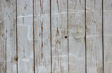 Fototapeta premium texture of the painted shabby wooden flooring made of boards, grunge background