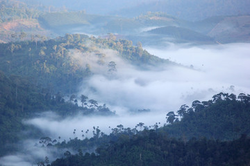 sea fog on the mountain hills